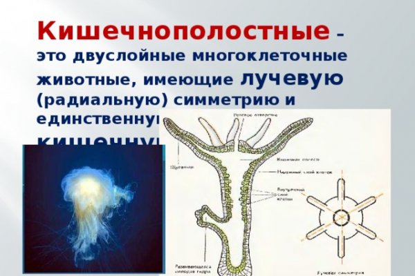 Как восстановить аккаунт на кракене даркнет