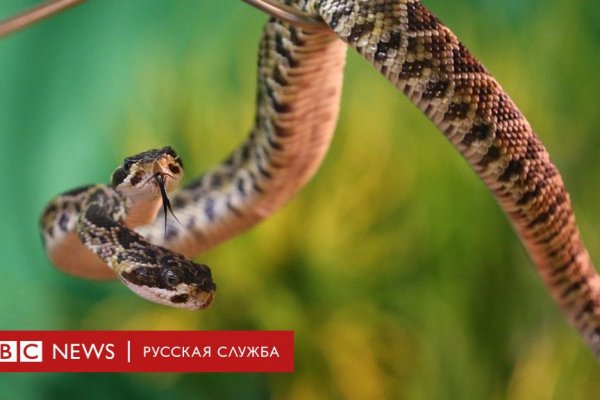 Кракен сайт работает