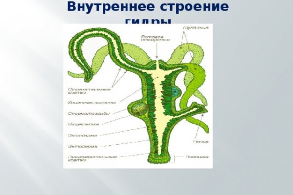 Даркнет зеркало